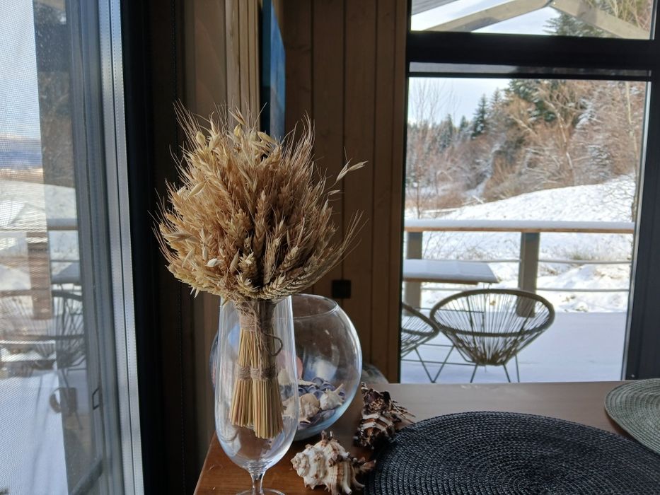 Відпочинок в Карпатах,оренда котеджу (до 5 гостей)  ЦІНА ЗА КОТЕДЖ