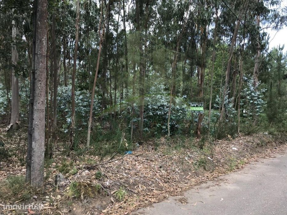 Terreno para Venda em São Pedro da Torre