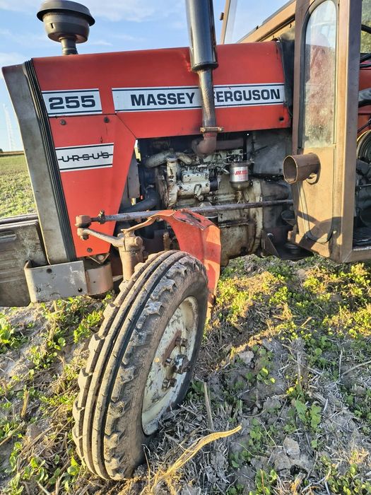 Massey Ferguson 255