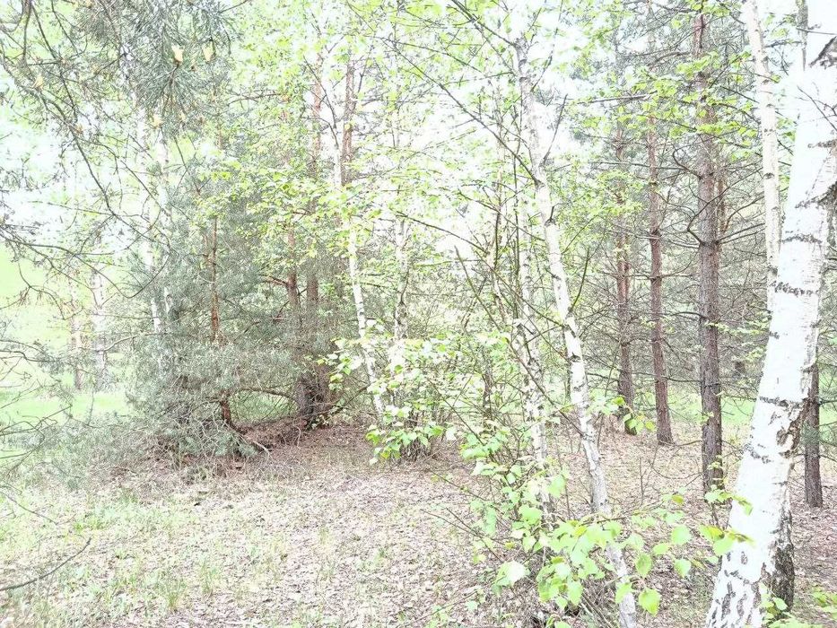 Продам  15-сот під забудову село.Сінгури р-н новобудов