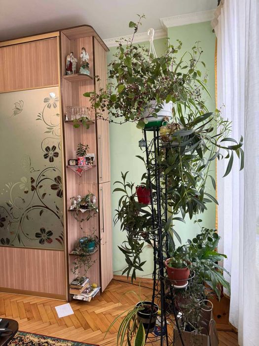 2-х кімнатна квартира, м. Жовква