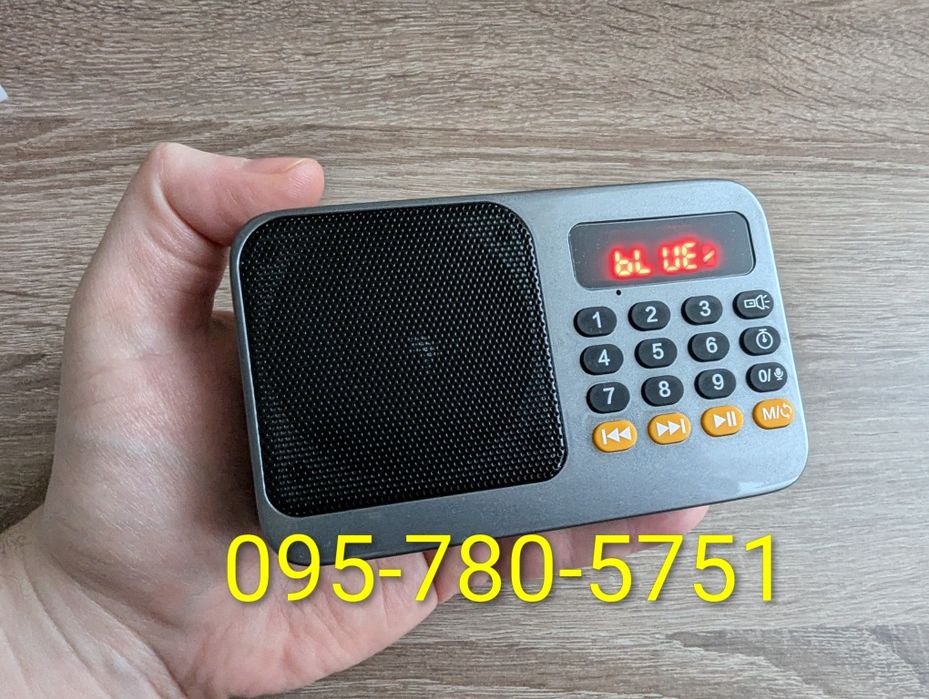 Колонка Bluetooth, радіо FM, флешка, micro SD, диктофон, плеєр, ліхтар