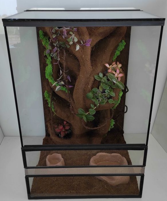Terrarium dla gekona orzęsionego z roślinami, TW34R, AquaWaves