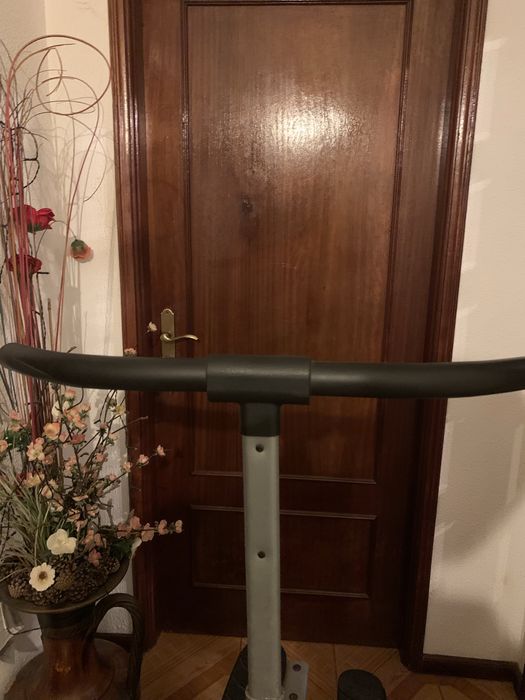 Maquina de cardio TWISTER