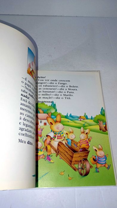Os Coelhinhos... descobrem a Horta