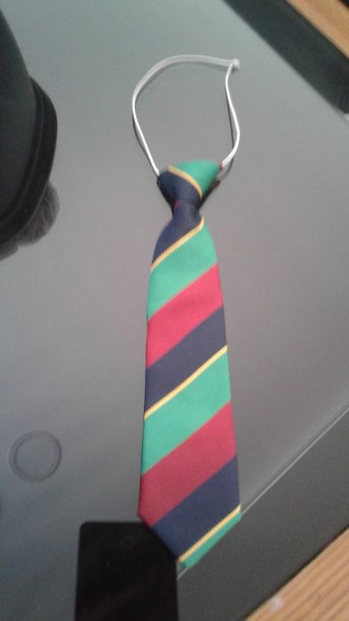 Gravata rapaz Lion of Porches - nova