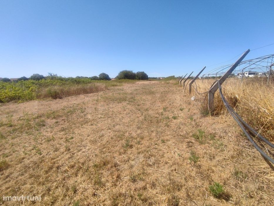 Terreno em Esgueira - Mataduços