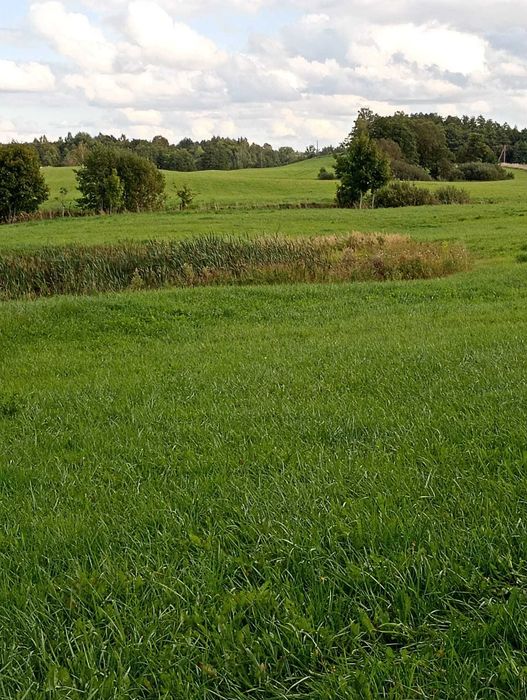 Zdjęcie 6