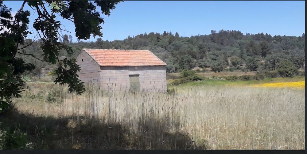 Oportunidade Única Quinta de Sonho com 14,5 Hectares na Histórica Vila