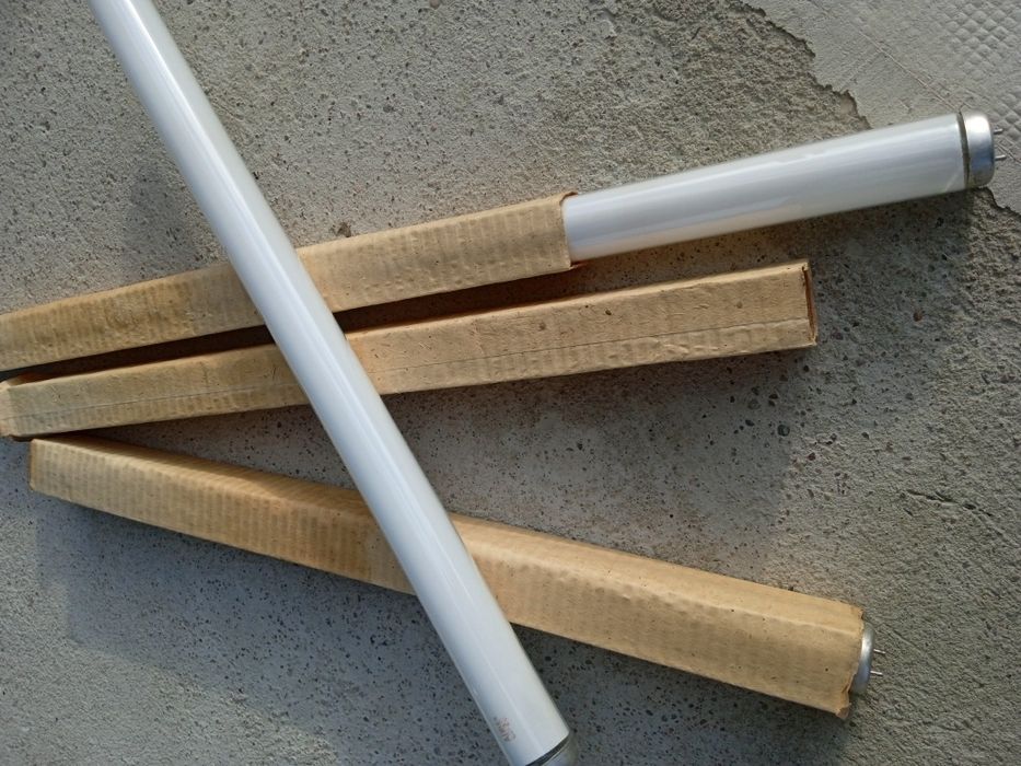 Swietlówka Jarzeniówka