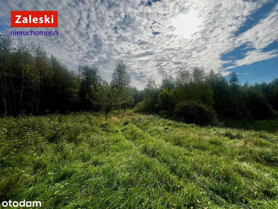 Działka pod agroturystykę lub własną oazę spokoju.