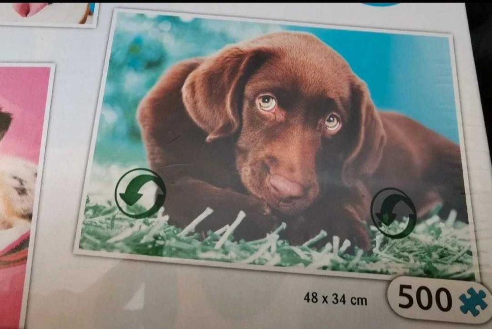 Trefl Puzzle 3w1 Słodkie pieski 3 obrazki  limitowana edycja 1000 Nowe