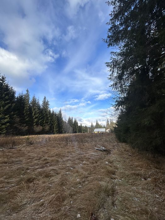 Остання ділянка біля Говерли | 10 соток