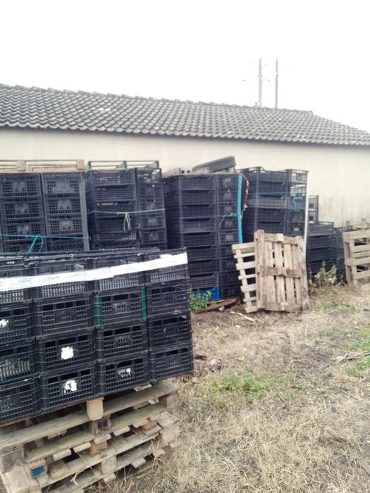 Caixas para Horta 750