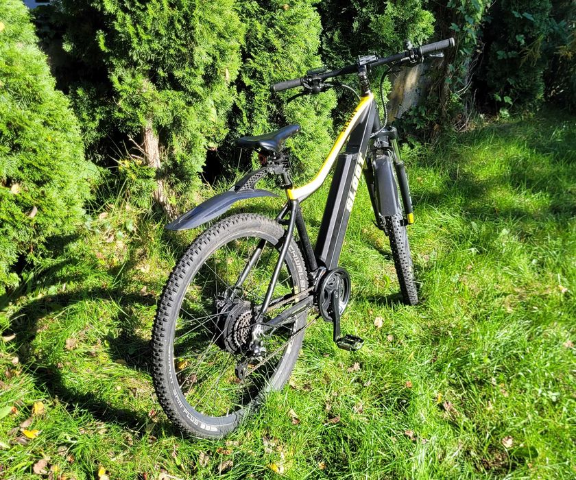 Sloot E-MTB 29