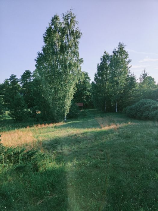 Wynajem domku letniskowego