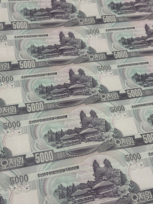 Uncut Sheet 5.000 Won North Korea 2006 Banknote