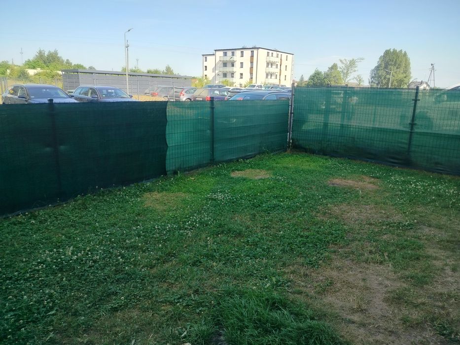 Wynajmę mieszkanie w Zblewie - Widok 4
