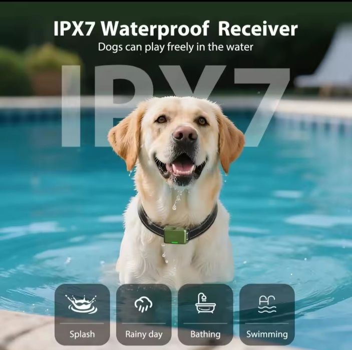 Электроошейник DOG 800 для дрессировки собак