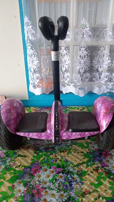 Сигвей (Ninebot)