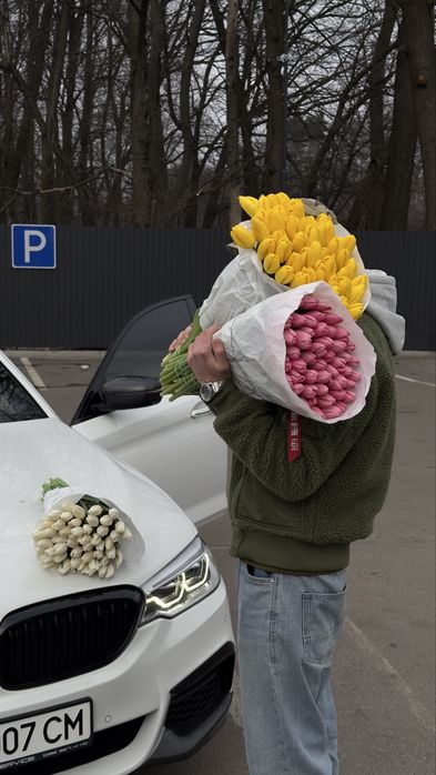 Тюлпан великий український Бровари опт