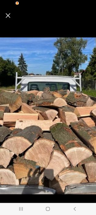 Drzewo kominkowe i opalowe