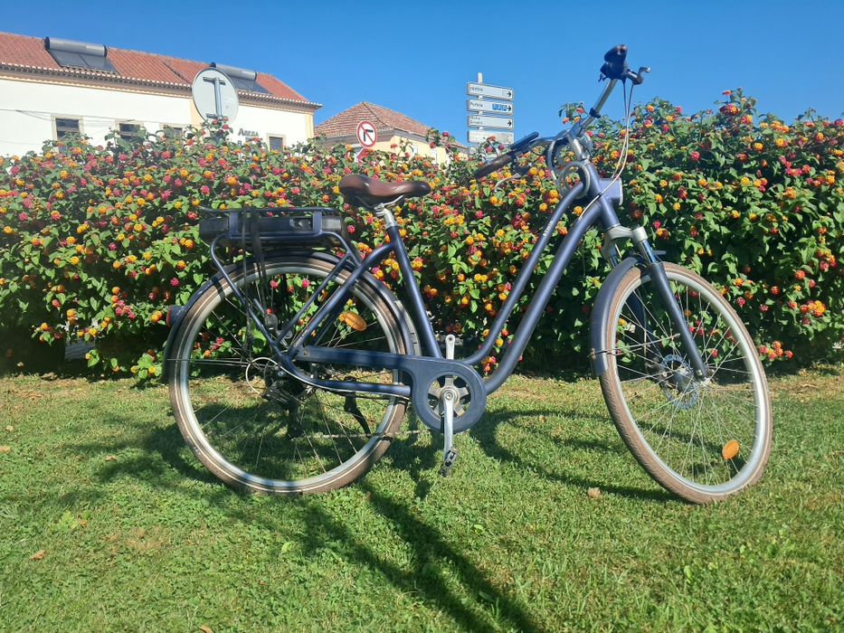 Bicicleta eletrica