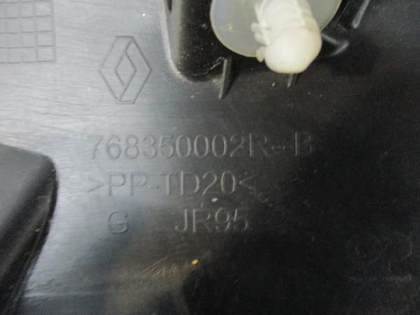 Friso / Frisos RENAULT Scénic III (JZ0/1_)