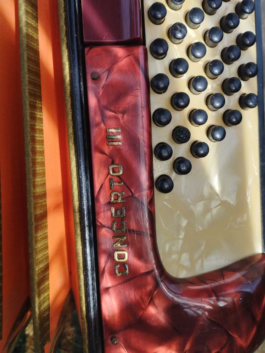 Acordeão hohner concerto lll