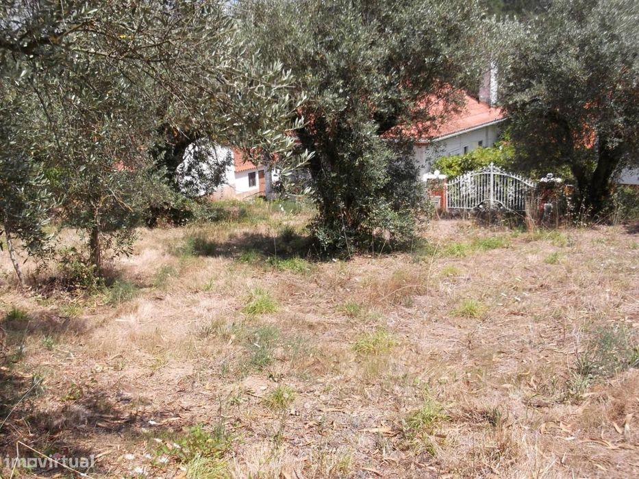 Land Plot of 2056 m²