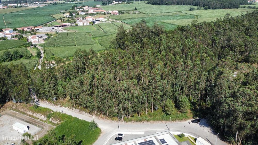 Terreno Rustico em Mosteiró