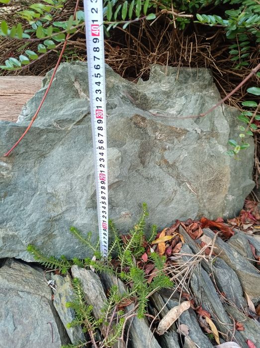 Kamień do terrarium akwarium