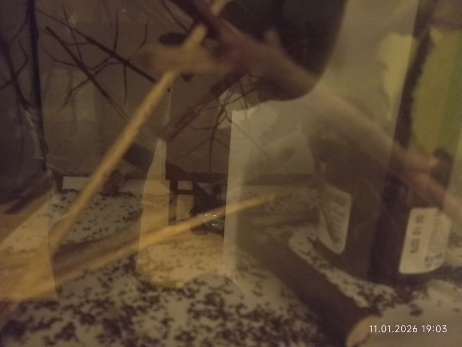 Super patyczaki 30sztuk