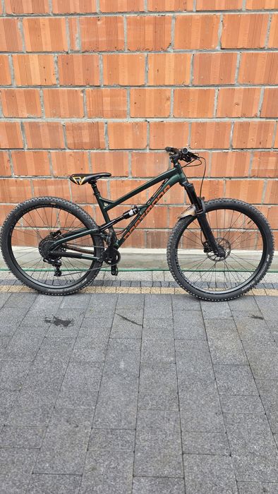Dartmoor Bluebird Pro 2019