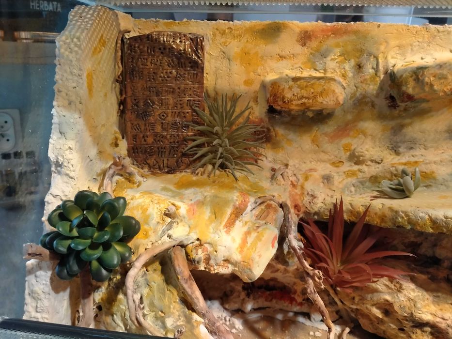 Terrarium dla gekona