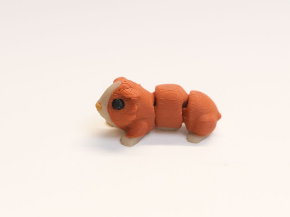 Mini porco de Guiné