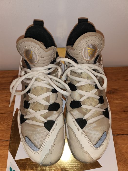Buty Jordan Why Not 5