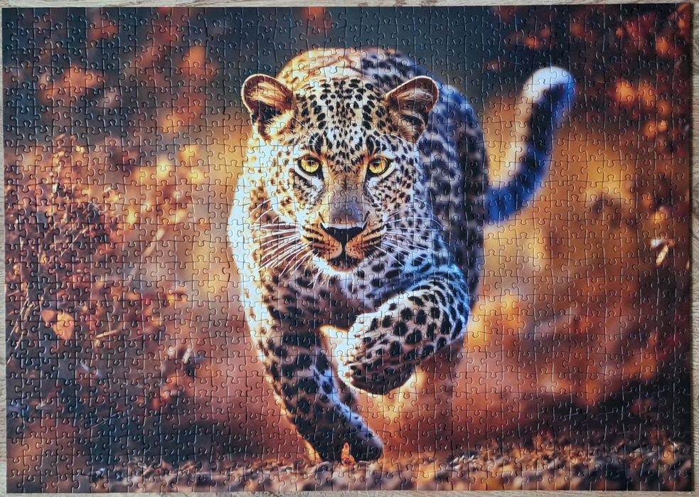 Puzzle trefl Premium Plus Quality 1000 el. Photo Odyssey: Dziki Leopar