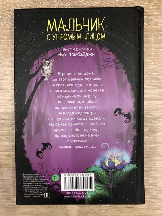 Книга Мальчик с угрюмым лицом