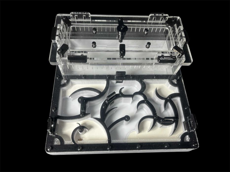 Купити мурашину ферму в Україні — формикарій з екзотичними мурахами