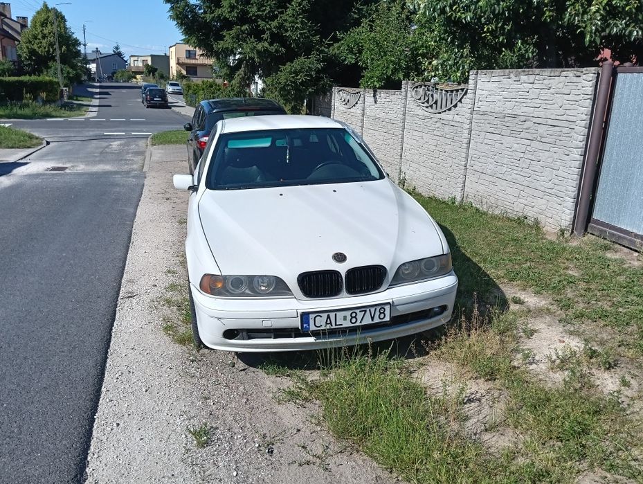 BMW e39 530d M57, bez zdzy