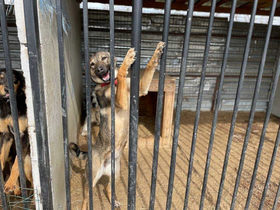 Муха дуже чекає на свою турботливу і люблячу сім'ю..