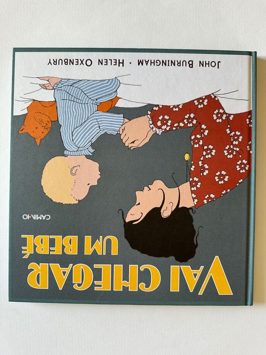 Vai chegar um bébé - Livro infantil