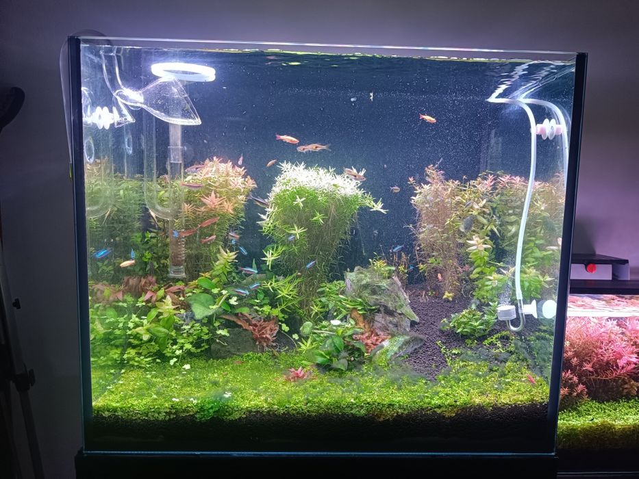 Aquário 160 litros como novo sem um único risco tem um ano, completo.