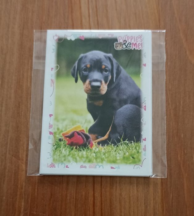 Cromos panini, Puppies And Me.