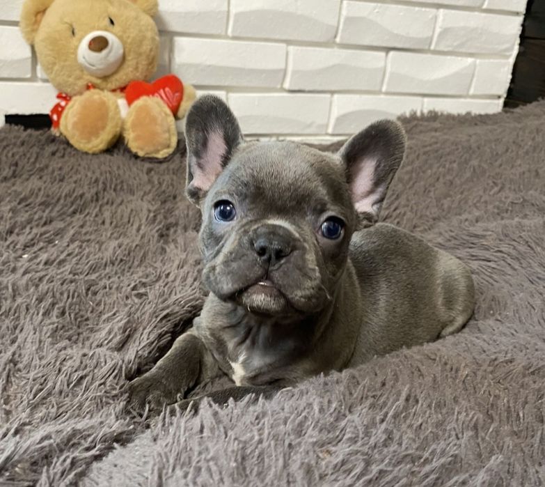 Хлопчик блакитний 2 міс. Є нюанси