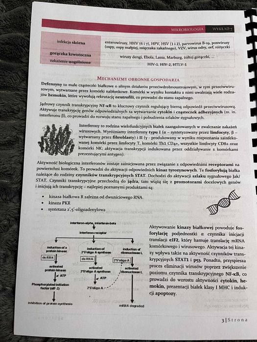 Mikrobiologia wykłady skrypt