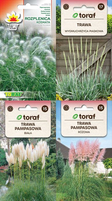 Trawy nasiona zestaw 4 odmian  za 19,56 zł