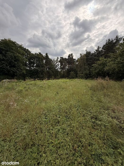 Działka Budowlana 5.575m2 w Tryszczynie-możliwy podział na 2 Działki.