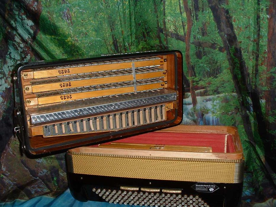 Avenda Acordeao G, .731